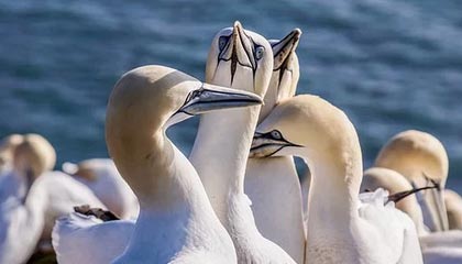 平阳2026年最新北京商务伴游经纪招聘渠道分享(最方便真实的平阳北京爱特博旅运服务有限责任公司招聘方法)