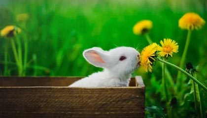 平阳2026年最新杭州高端商务伴游招聘网渠道分享(最方便真实的平阳茉莉伴游伴游天下全国联盟方法)