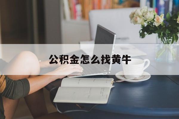 最新公积金怎么找黄牛方法分析(最方便真实的平阳找黄牛公积金提取流程方法)